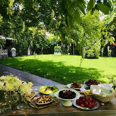 Hotel Vanilla Timişoara Buitenkant foto